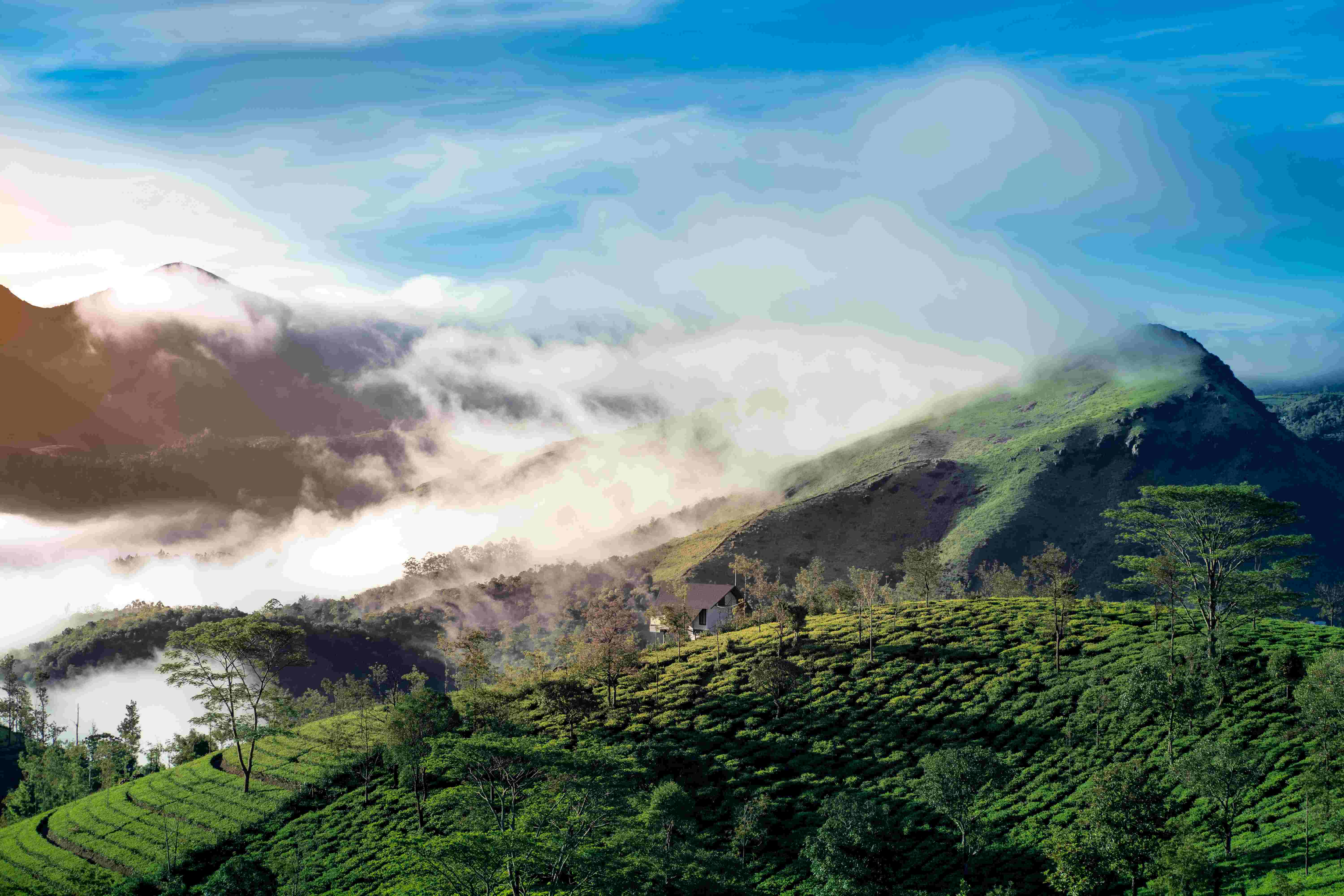 Immerse Yourself in Tranquility: Explore the Enchanting Beauty of Vagamon